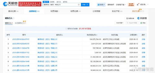 集度科技武漢公司被執(zhí)行1.04億，互聯(lián)網(wǎng)信息服務(wù)行業(yè)風(fēng)險(xiǎn)警鐘長(zhǎng)鳴